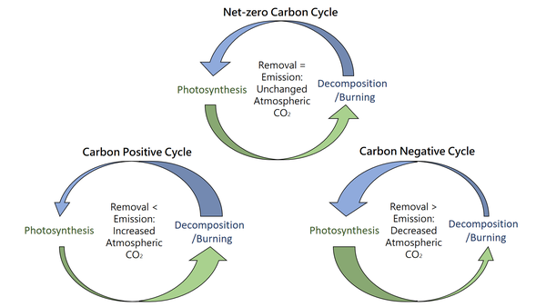 Carbon capture, utilization, and storage (CCUS) in landscape architecture (part 1)