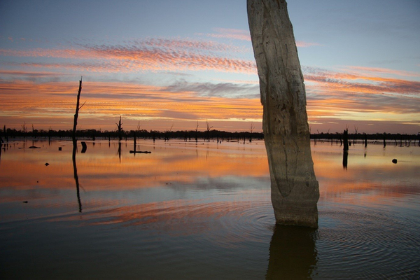 Advocating for a Greener, Healthier, and More Climate Resilient Australia: Introducing Australian Institute of Landscape Architects’ National Advocacy