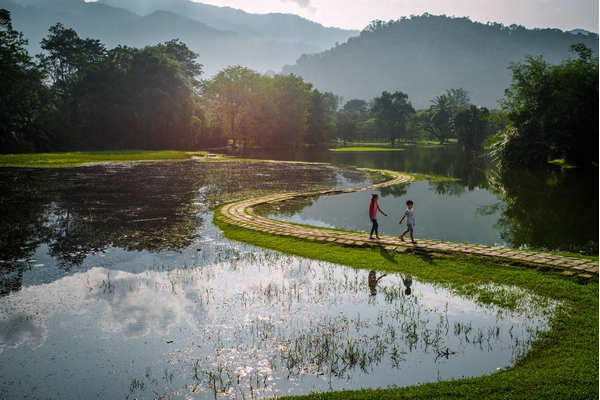Taiping Lake Gardens: Resilience Over Histories